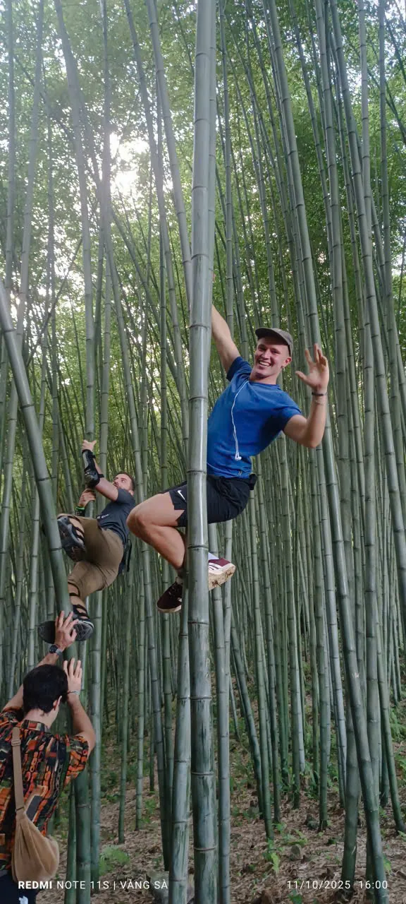 Bamboo forest on the road to Ma Pi Leng