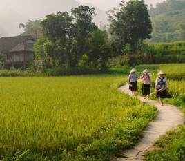 Thu's Homestay, Du Gia (Tay family)